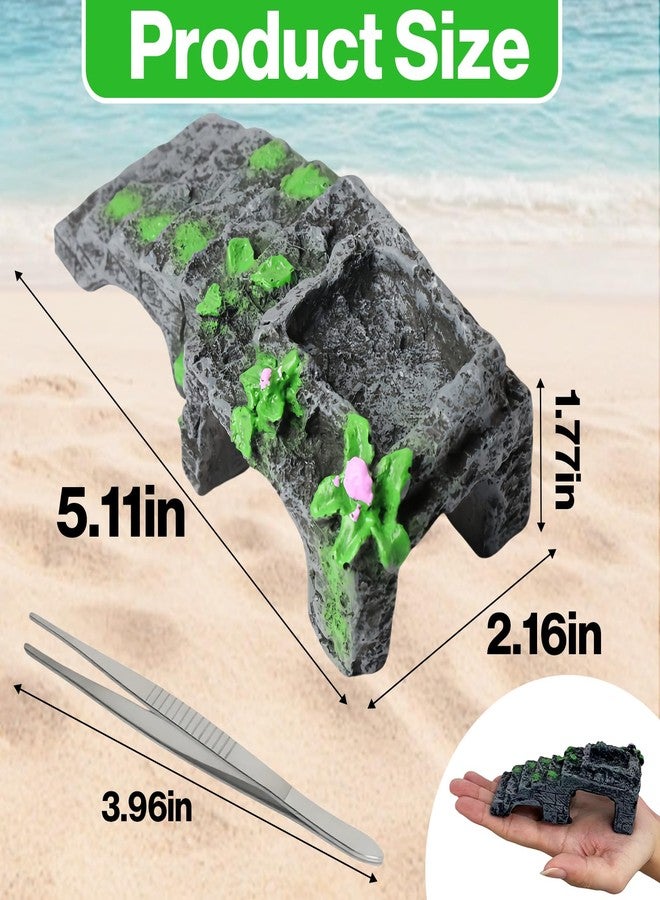 Mtuiewo Hermit Crab Climbing Toys with Water Bowl, Hermit Crab Accessories, Resin Material Climbing Ramp with Feeding Tweezer, Tank Decor for Small Reptiles Habitat(5.11 x 2.16 x 1.77inches) - Image 2